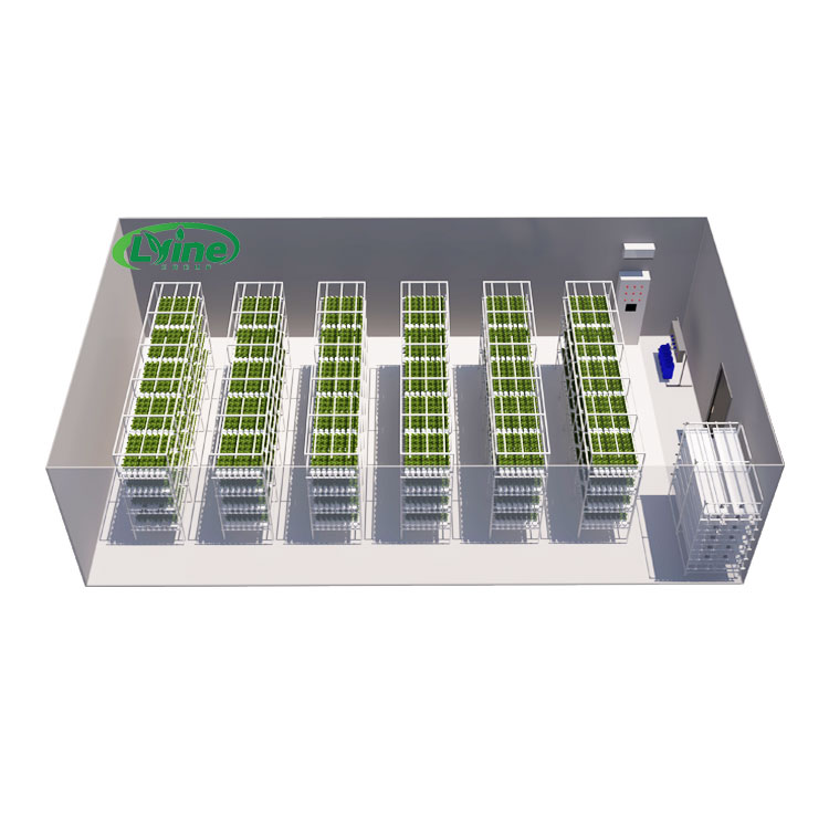 Hydroponic Farming Agriculture - Tarımsal Seralar Marul NFT Hidroponik Sistem