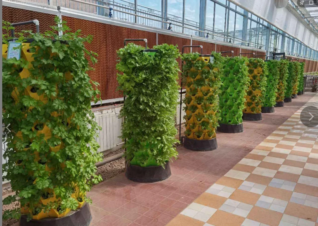 Tarımsal seralar dikey tarım a - Hydroponic Farming Agriculture incelemesi ve fiyatı