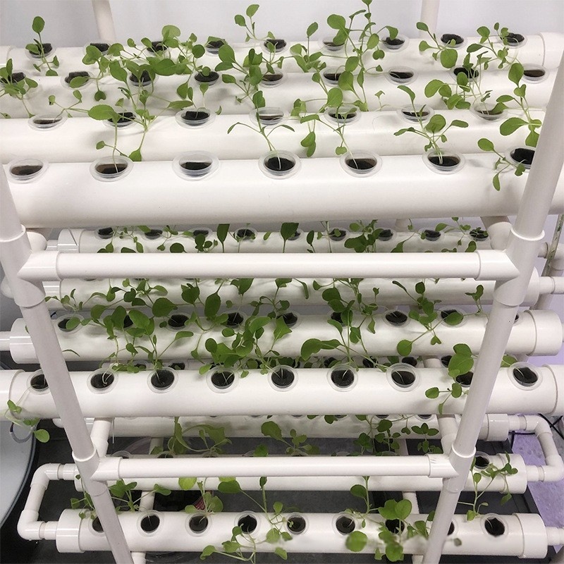 Hidroponik Kanal Borusu PVC Ta - Hydroponic Farming Agriculture incelemesi ve fiyatı