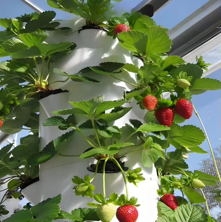 Modüler hidroponik büyüme duva - Hydroponic Farming Agriculture incelemesi ve fiyatı