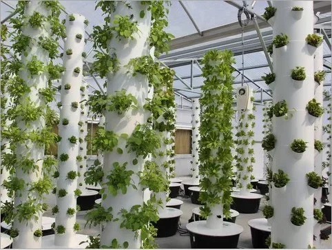 Yüksek kaliteli tarımsal ev ba - Hydroponic Farming Agriculture incelemesi ve fiyatı