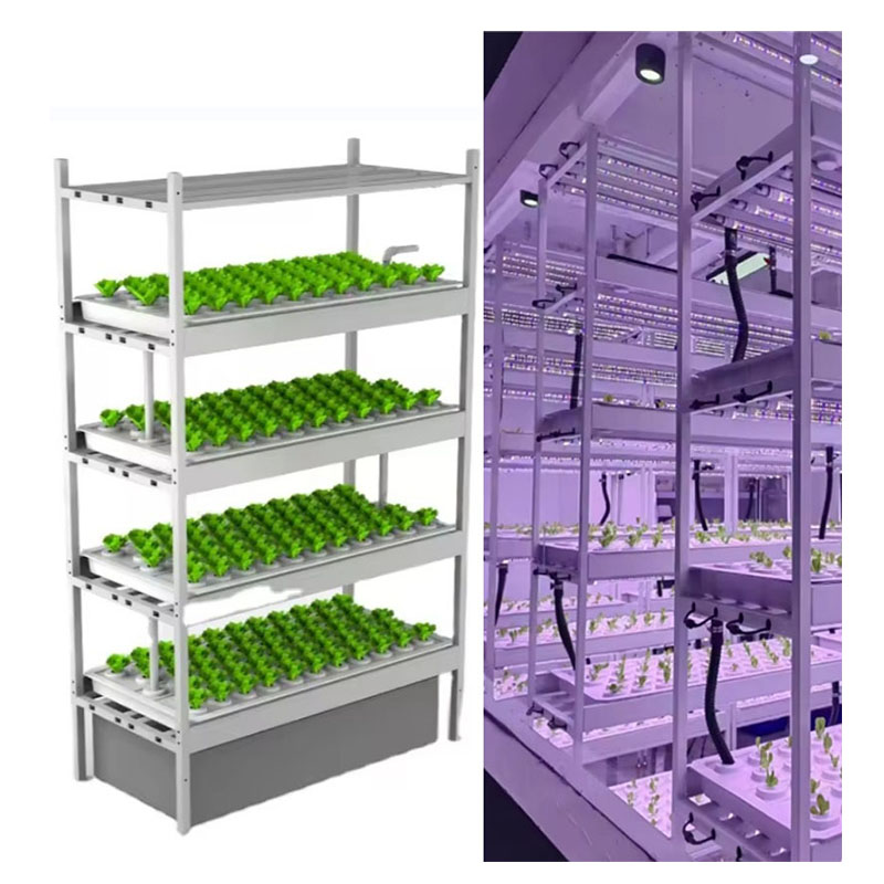 Sera Tarım Ekipmanları Mantar  - Hydroponic Farming Agriculture incelemesi ve fiyatı