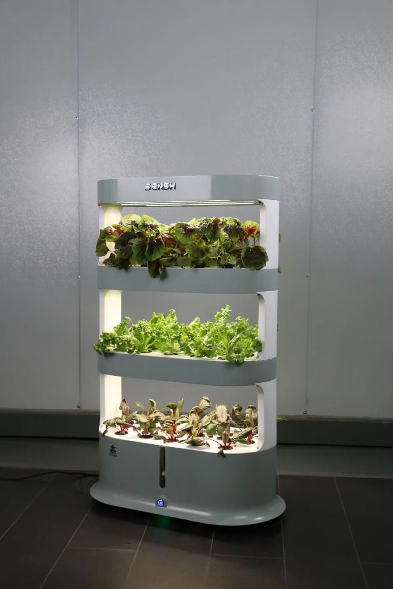 Fabrika Toptan Satış Benzersiz - Hydroponic Farming Agriculture incelemesi ve fiyatı