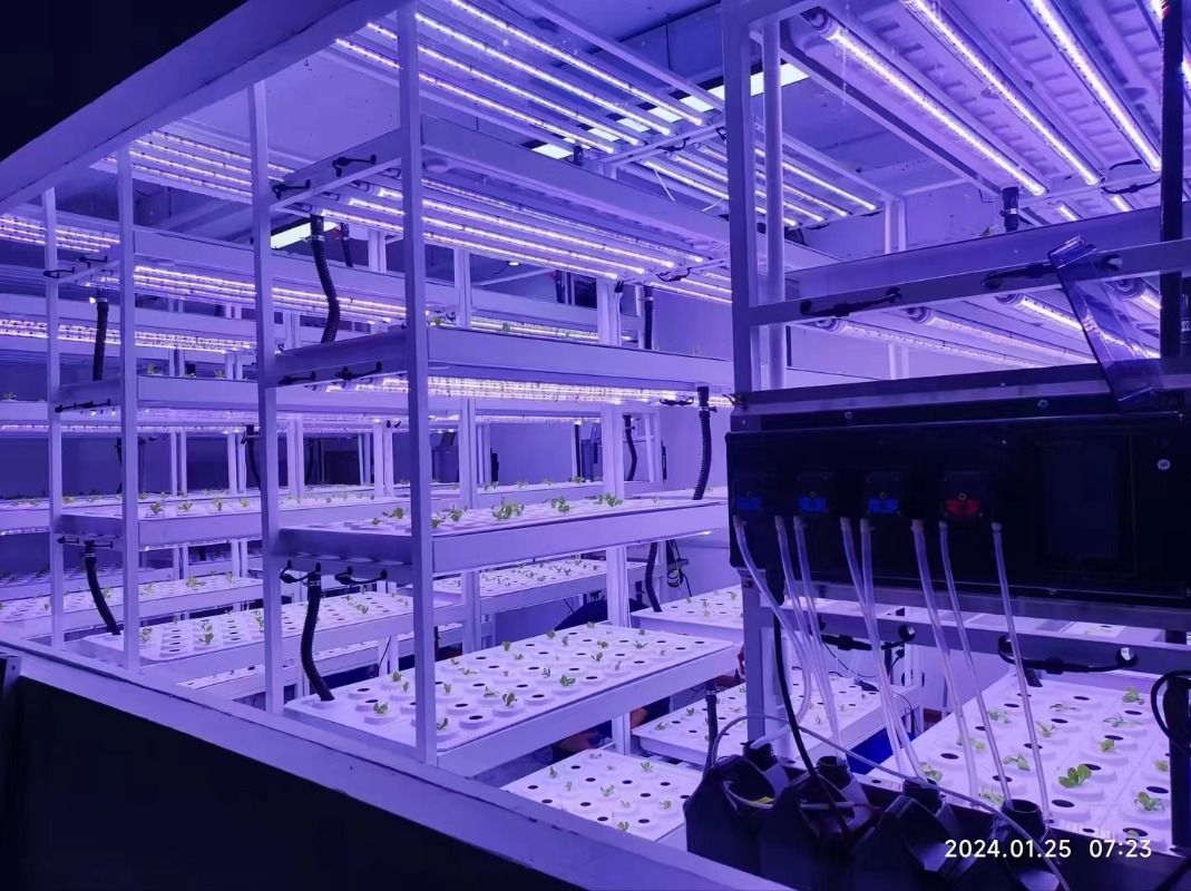 Küçük Dikey Hidroponik Kule Si - Hydroponic Farming Agriculture incelemesi ve fiyatı