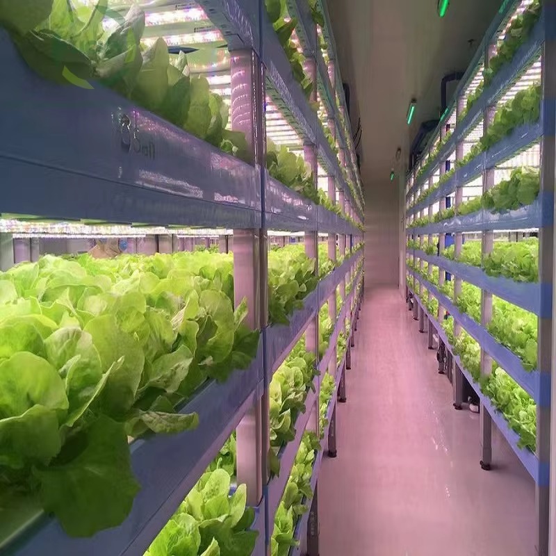 Özel Tarım Seraları Hidroponik - Hydroponic Farming Agriculture incelemesi ve fiyatı