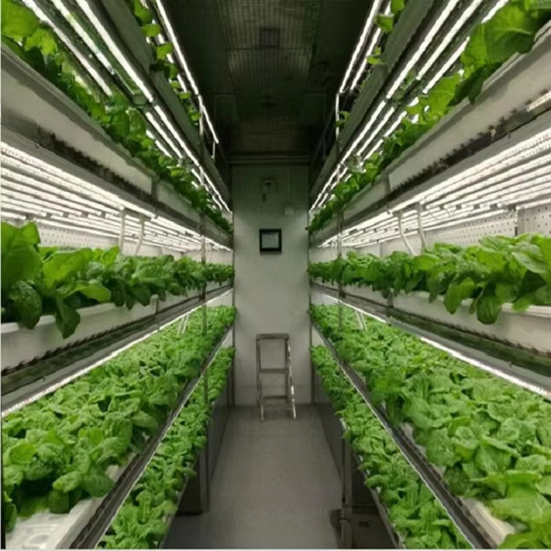 Özel Tarım Seraları Hidroponik - Hydroponic Farming Agriculture incelemesi ve fiyatı