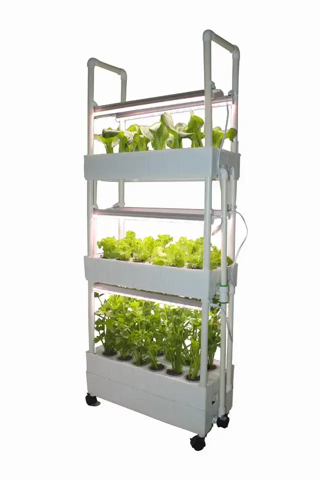 Marul yetiştirmek için özelleş - Hydroponic Farming Agriculture incelemesi ve fiyatı