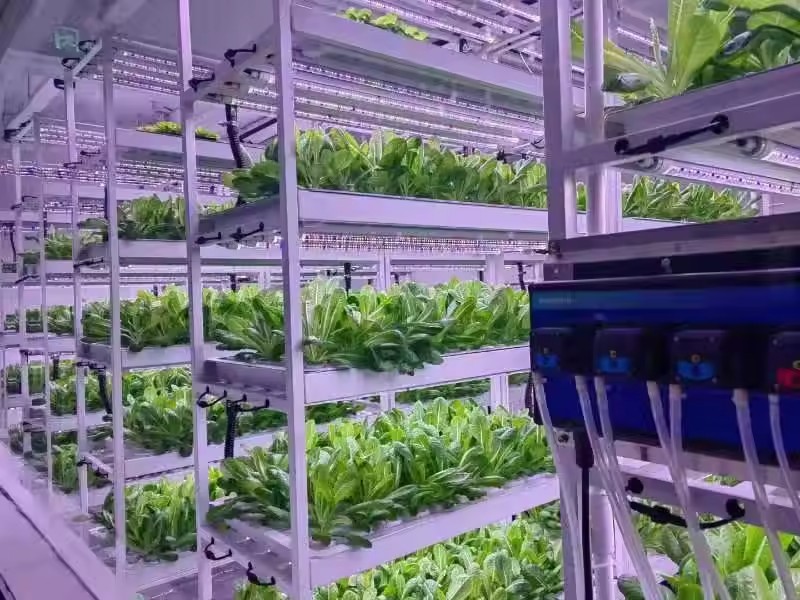 Dikey Çiftlik Hidroponik Kule  - Hydroponic Farming Agriculture incelemesi ve fiyatı