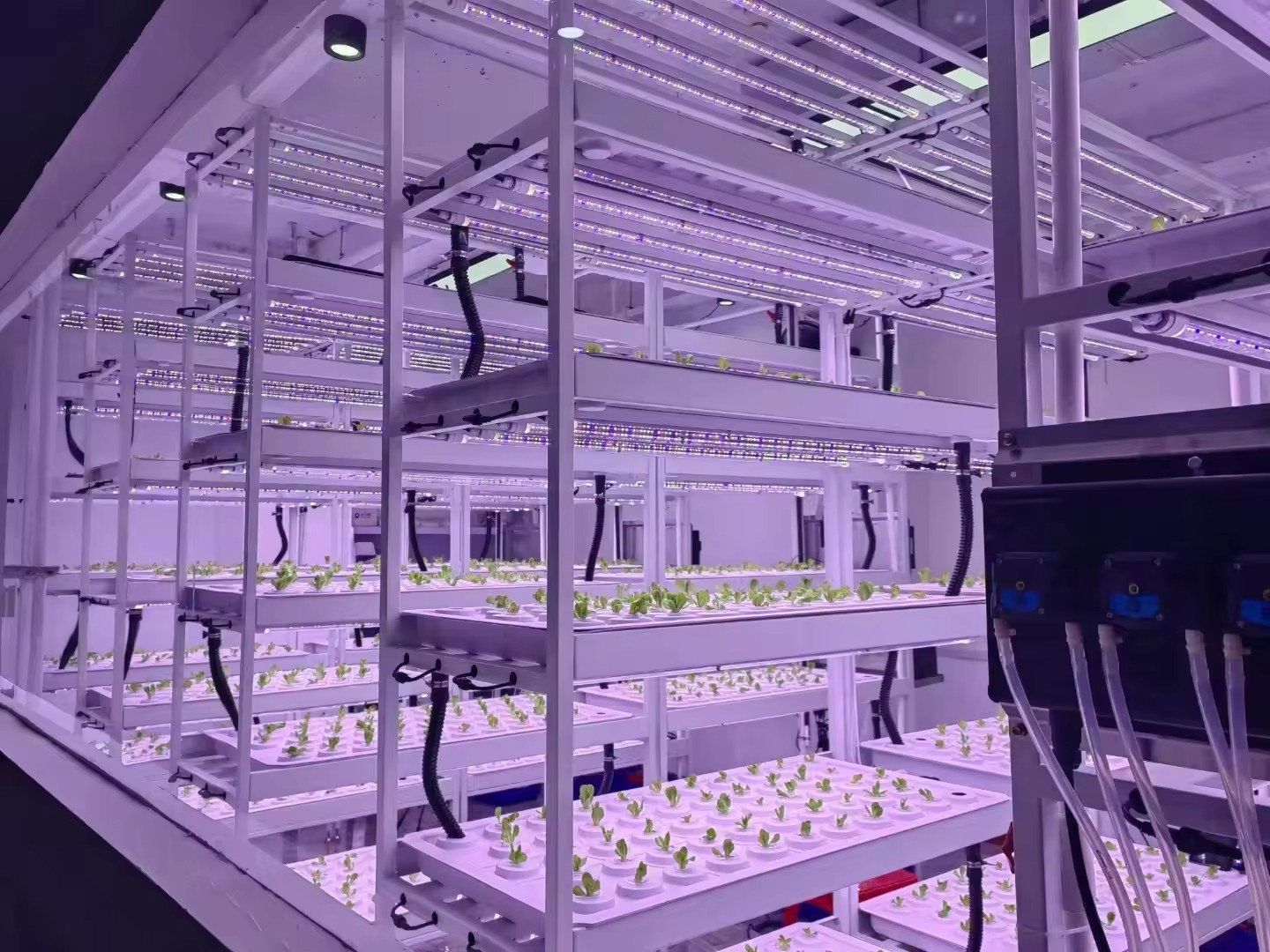 Dikey Çiftlik Hidroponik Kule  - Hydroponic Farming Agriculture incelemesi ve fiyatı