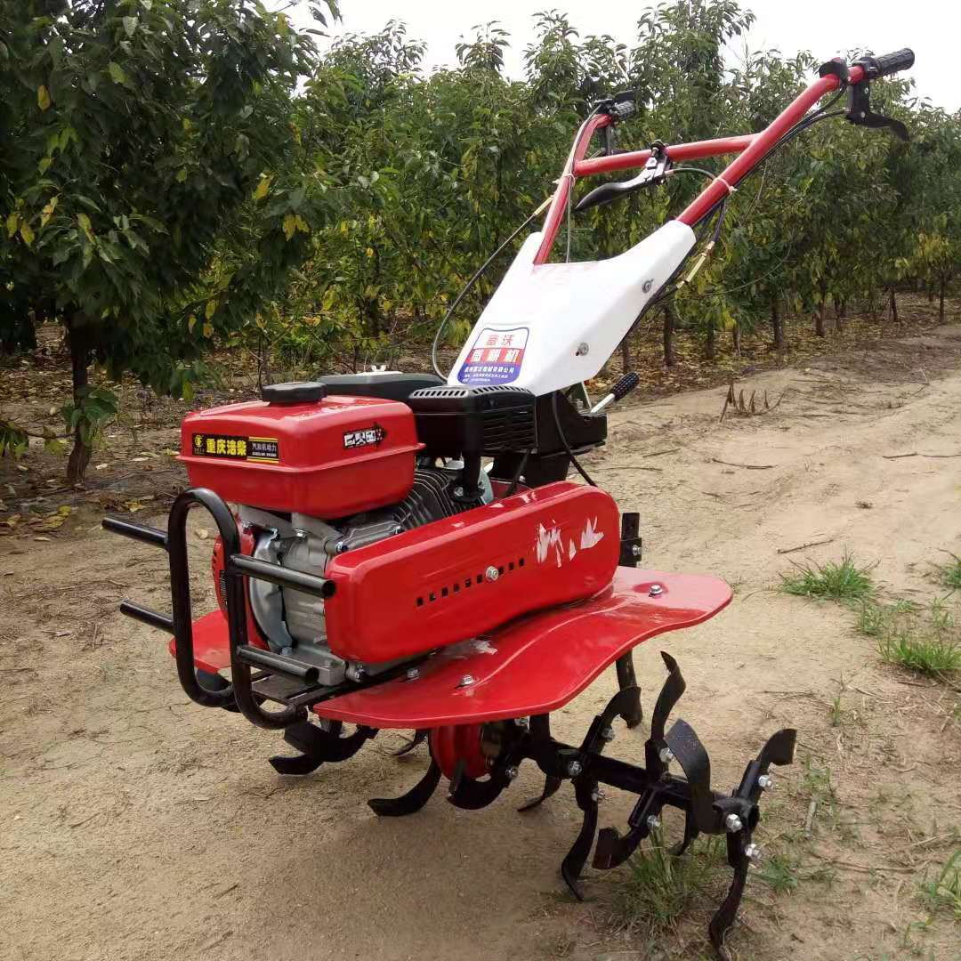 Yüksek Verimli, Uzun Ömürlü, T - Farming And Agriculture Jobs incelemesi ve fiyatı